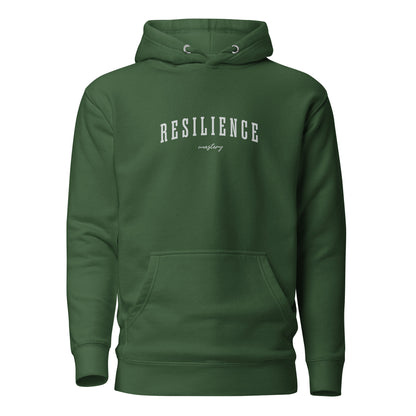 Product mockuaResilience Mastery Hoodie | grit mindset | clothing | perseverance | affirmation | apparelp